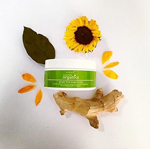 emerginC Scientific Organics Ginger-Lime Sugar Scrub - Exfoliating Body Scrub with Vitamin E + Moisturizing Shea Butter, Ginger Root Oil + Coconut Oil - Removes Dead Skin (8 oz)