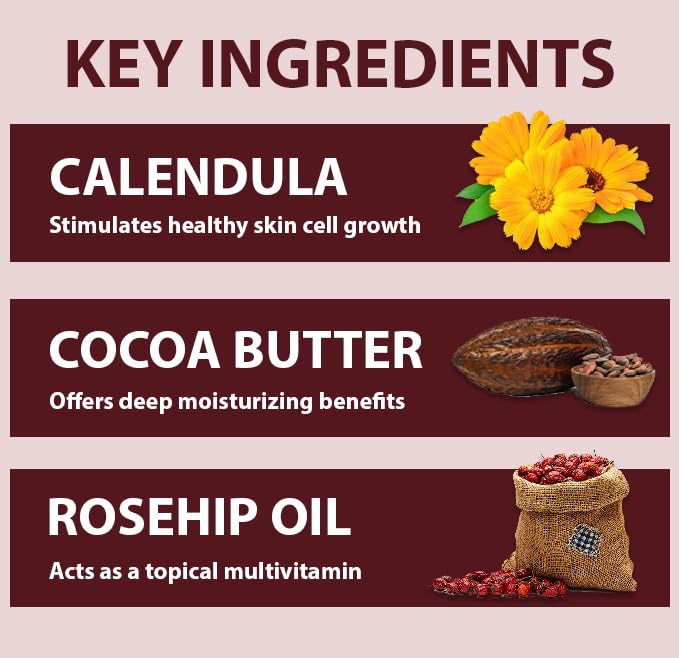 All Good Hand & Body Lotion - Moisturizing Organic Lotion for Dry Skin - Jasmine Oil, Cocoa Butter, Rosehip Oil, Arnica, Vitamin E - Non-Greasy Body Butter, 6 fl oz (3-pack, Jasmine Rose)