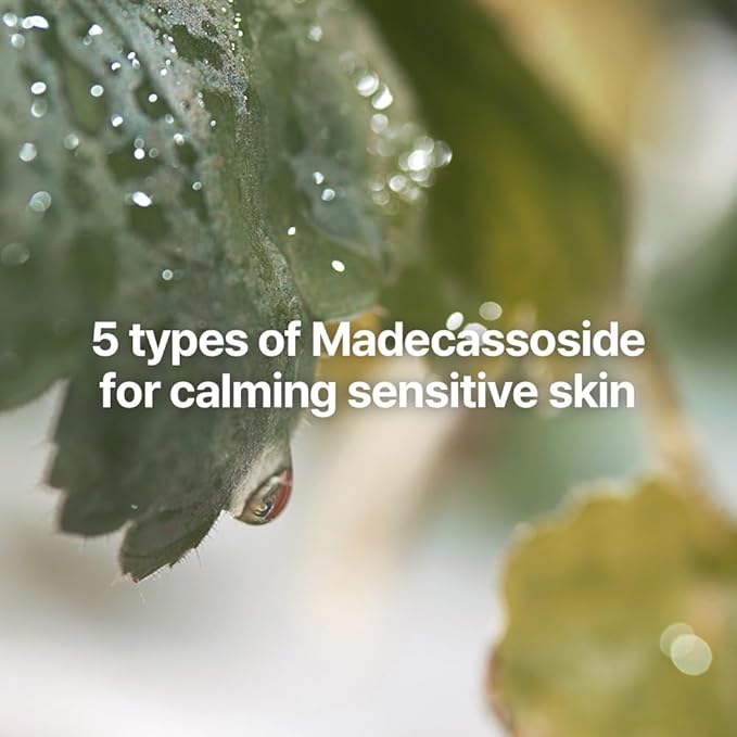 [PKY] Pyunkang Yul Calming Skincare Gift Set with Premium Gift Wrapping, Vegan, Korean Skincare (3-item set)