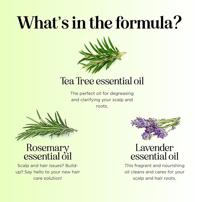 Clarifying Shampoo for Build Up & Oily Hair - Tea Tree Shampoo for Men and Women with Rosemary Essential Oil for Oily Hair and Scalp - Color Safe Vegan Sulfate Silicone & Paraben Free (8 Fl Oz)