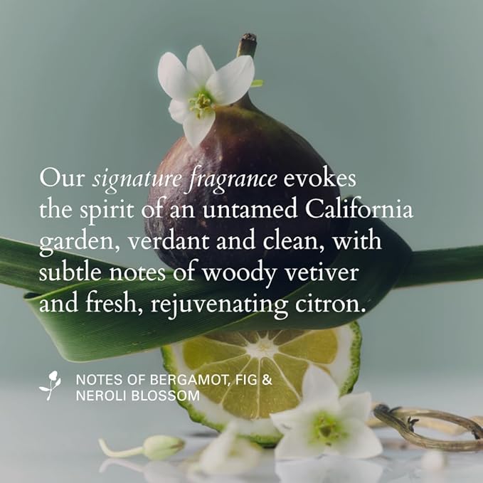 RŌZ Root Lift Spray | Instant Volume Boost| Buildable, Non-Sticky, Lightweight Hold | Infused with Mushroom Root, Rice Protein & Radish Root | Silicone-Free | 5 fl oz