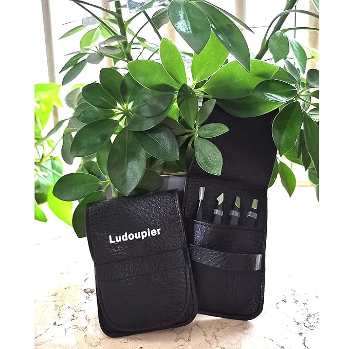 [4+1 Pieces] Tweezers Set with Travel Case, Great Precision Upgrade Professional Anti-rust Alloy Tweezers for Women & Men Multi-purpose as Eyebrows Facial Hair Ingrown Hair Removal