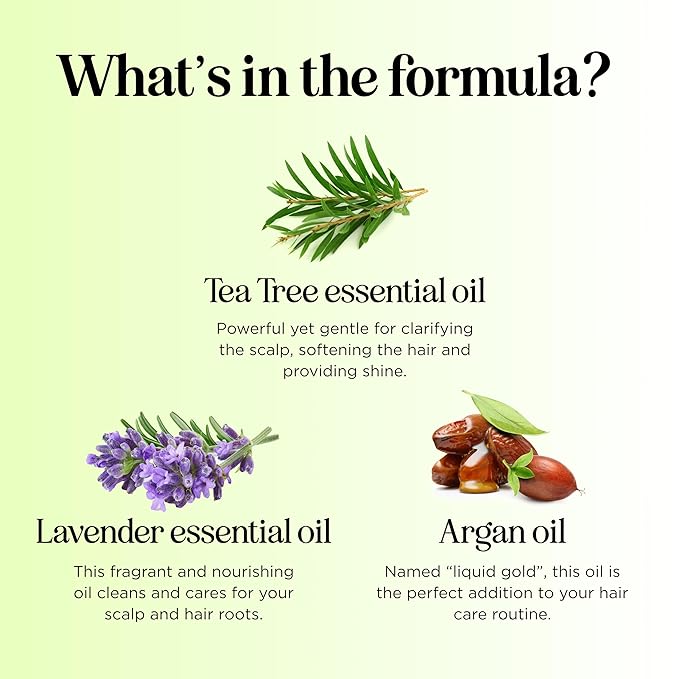 Maple Holistics Tea Tree Oil Shampoo Sulfate Free - Deep Cleansing Vegan Tea Tree Shampoo for Oily Hair and Scalp - Daily for Build up with Rosemary Essential Oil for All Hair Types 25 Fl Oz