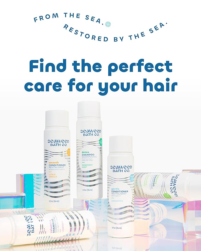 Seaweed Bath Co. Balance Shampoo - Eucalyptus Peppermint - Hydrating Daily Shampoo with Vitamin E, Argan Oil, Coconut Oil - For Normal to Oily Hair - 12 oz