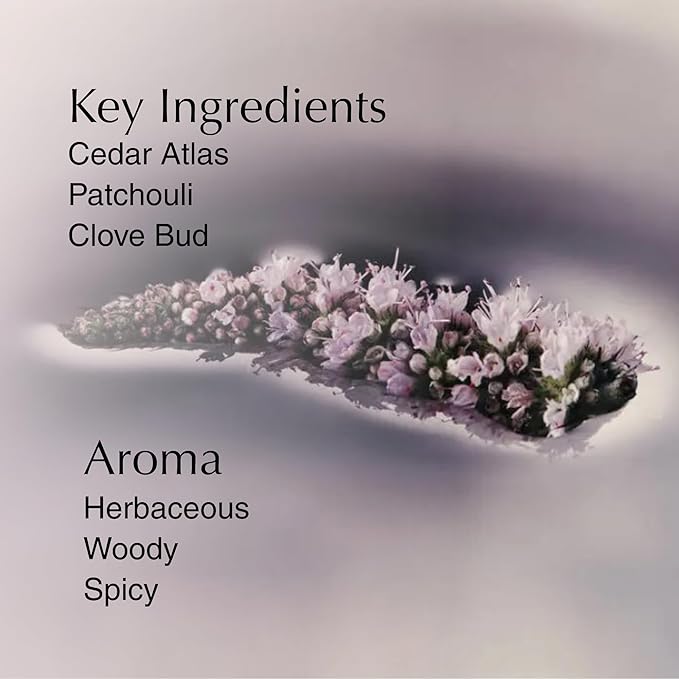 Aesop Eleos Nourishing Body Cleanser Refill | Hydrating Ingredients For Refreshed, Soft Skin | Enriched With Emollients, Humectants, Purifying Botanicals | 500mL / 16.9oz