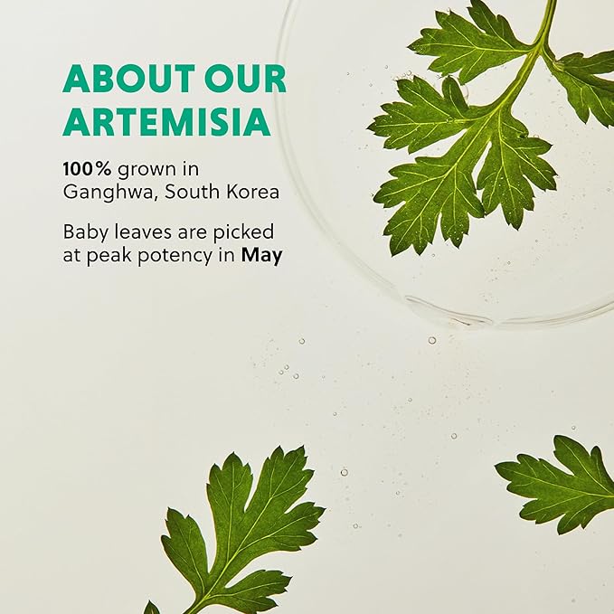 HANYUL Artemisia Soothing Toner with Centella Asiatica and Panthenol | Hydrating & Calming Facial Toner for Sensitized Skin, Skin Prep, Vegan, 5.07 fl. oz.