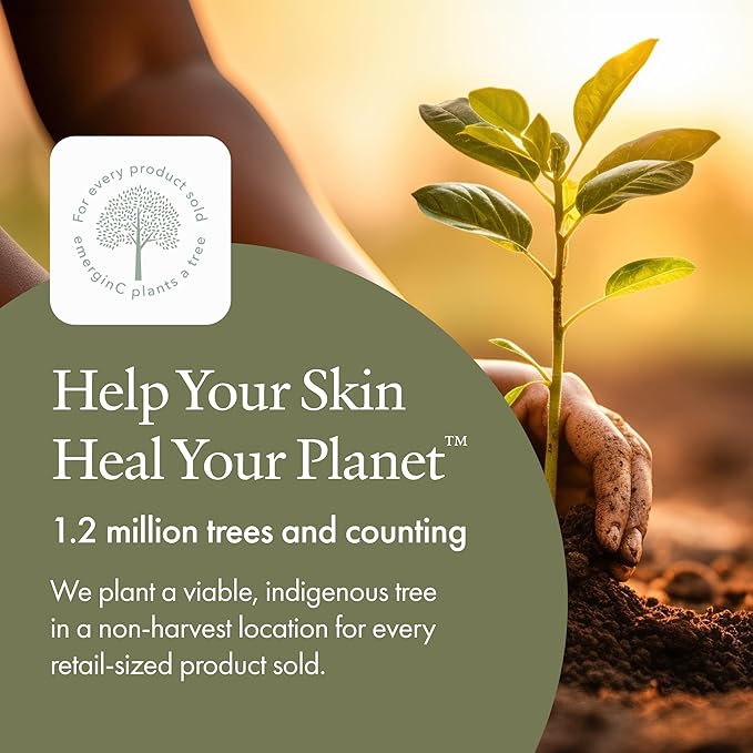 emerginC Scientific Organics Ginger-Lime Sugar Scrub - Exfoliating Body Scrub with Vitamin E + Moisturizing Shea Butter, Ginger Root Oil + Coconut Oil - Removes Dead Skin (8 oz)