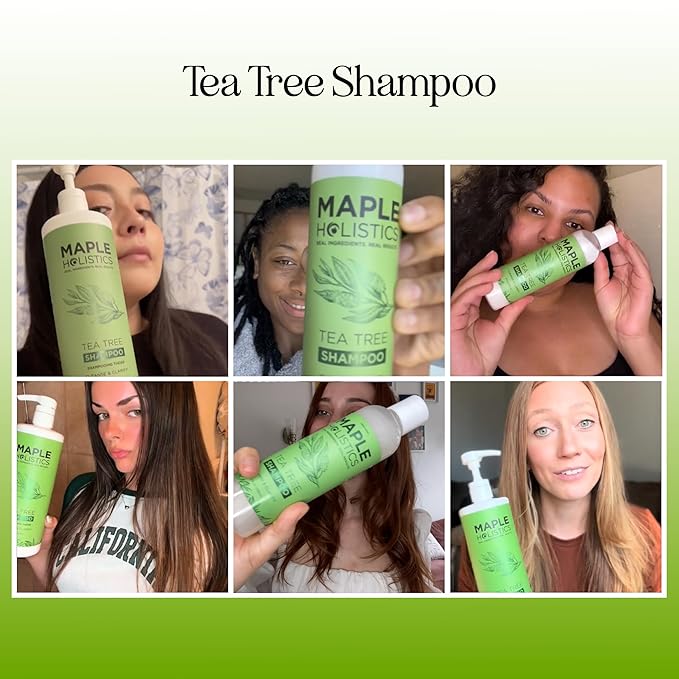 Maple Holistics Tea Tree Oil Shampoo Sulfate Free - Deep Cleansing Vegan Tea Tree Shampoo for Oily Hair and Scalp - Daily for Build up with Rosemary Essential Oil for All Hair Types 25 Fl Oz
