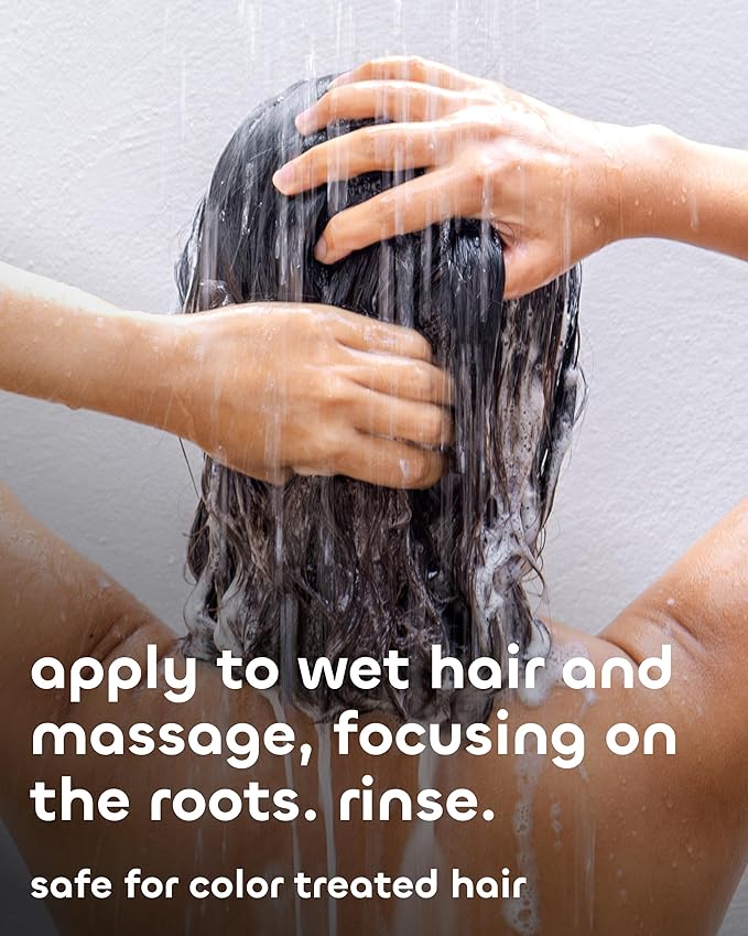 Seaweed Bath Co. Balance Shampoo - Eucalyptus Peppermint - Hydrating Daily Shampoo with Vitamin E, Argan Oil, Coconut Oil - For Normal to Oily Hair - 12 oz