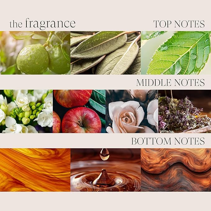 L’ANZA Healing Style Beach Spray with Medium Hold Effect, Eliminates Frizz, Detangles and Boosts Hair's Shine, With UV and Heat Protection to Prevent Sun and Styling Damage (3.4 Fl Oz)